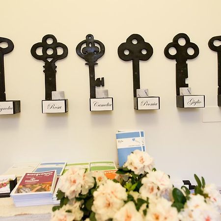 Le Stanze Di Corteinfiore Trani Kültér fotó